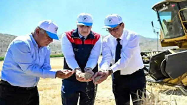 Hasadı Yapılan Arpalar, Çiftçilere Ücretsiz Dağıtılacak