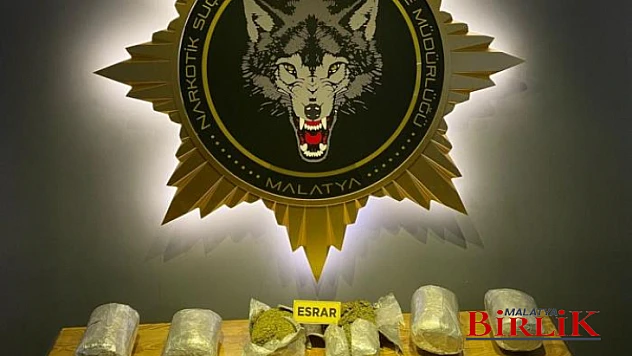 Hassas Burun Bonita'dan Kaçamadılar