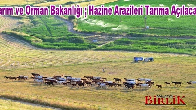 Hazine Arazileri Tarıma Açılacak