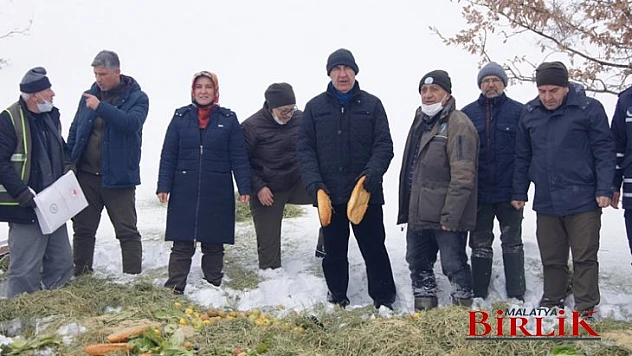 Hekimhan Belediyesinden Doğa'daki Hayvanlar Yiyecek Bırakıldı