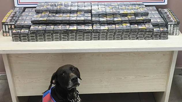 Jandarma Yol Kesti, Kaçak Sigara Yakalandı!