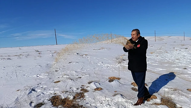 Kar Altında Yaşam Mücadelesi: Darende'de Yaban Hayvanlarına Destek
