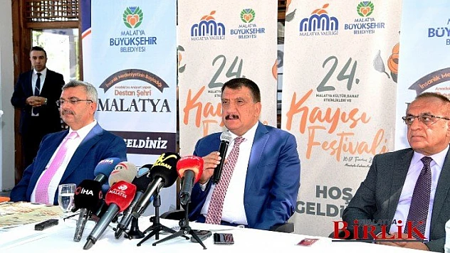 Kayısı Festivali 16-17 Temmuz Tarihleri Arasında Kutlanacak