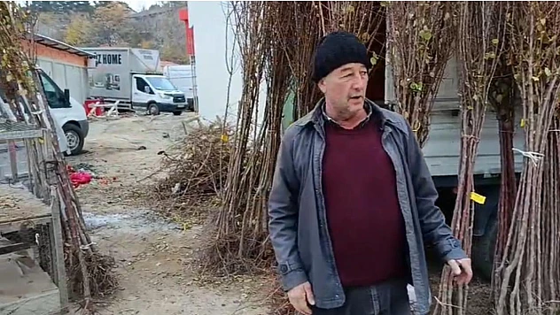 Kayısı Fidanı Talebi Artıyor: Üretici Yatırımdan Vazgeçmiyor