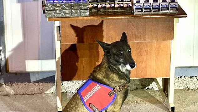 Kayseri İl Jandarma Komutanlığı'ndan Kaçakçılığa Darbe