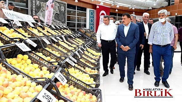 Kaysı Yarışması Yapıldı