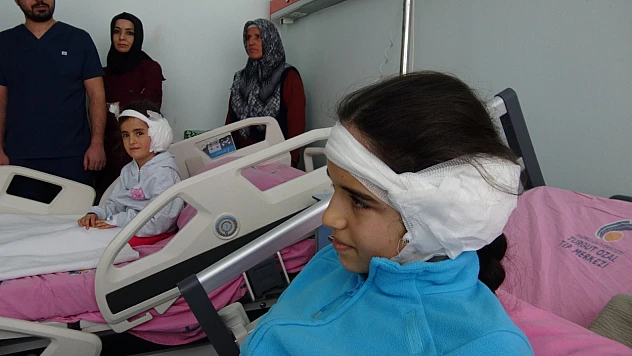 Kuzenlere Yapay Kulak Umudu: İşitme ve Konuşma Gelişimleri Desteklenecek