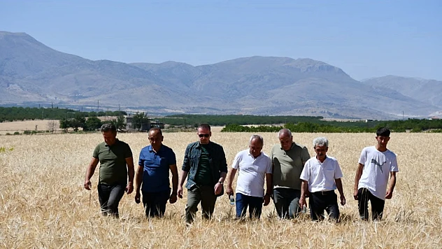 MAGİNDER Hasat Zamanında Çiftçinin Yanında: Dondan Zarar Gören Çiftçi Destek Bekliyor