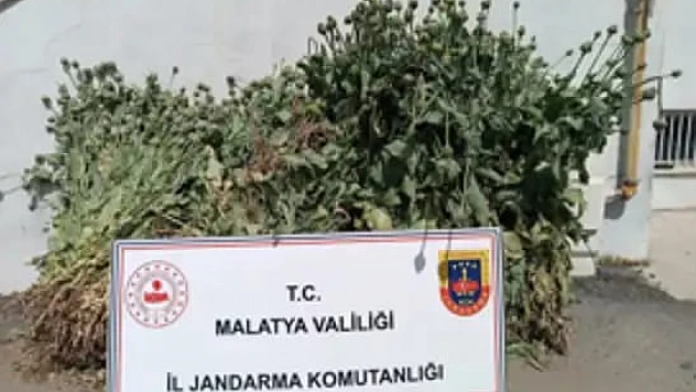 Malatya'da 18'i Kesinleşmiş Hapis Cezası Bulunan 30 Kişi Yakalandı