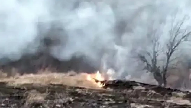 Malatya'da Arazi Yangını: Çok Sayıda Ağaç Küle Döndü