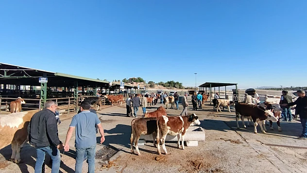 Malatya'da Hayvan Pazarı Yeniden Açıldı