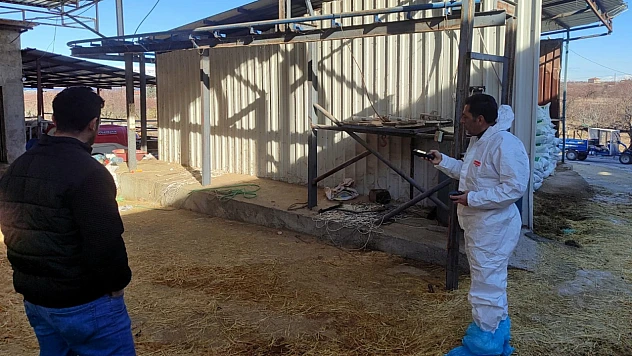 Malatya'da Hayvan Refahı Odaklı Denetimler Devam Ediyor