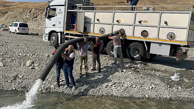 Malatya'da İç Sulara 1 Milyon 73 Bin Yavru Sazan Bırakıldı