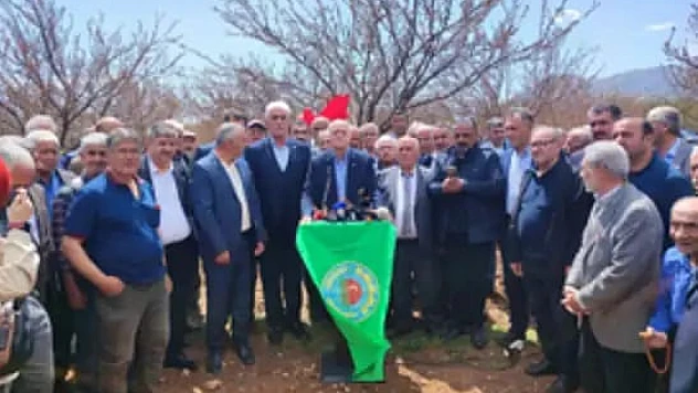 Malatya'da Kayısı Bahçeleri Felaketi Yaşıyor