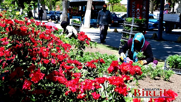 Malatya'da Peyzaj Çalışmaları