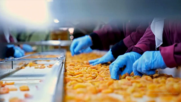 Malatya'dan 9 Ayda 246,7 Milyon Dolarlık İhracat