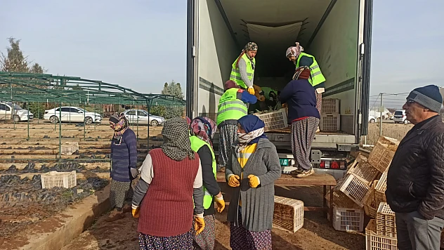 Malatya'dan Orta Asya'ya Yeşil Köprü: 50 Bin Fidan Yola Çıktı