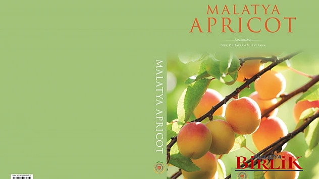 Malatya Kayısısı Kitabı 'Gourmand World Cookbook Awards 2023'De Finalde Yarışacak