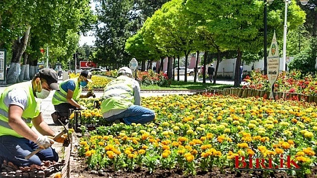 Malatya Parklarını Yazlık Çiçekler Süslüyor