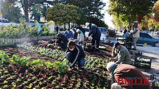 Malatya'yı Baştanbaşa Çiçek Bürüyecek