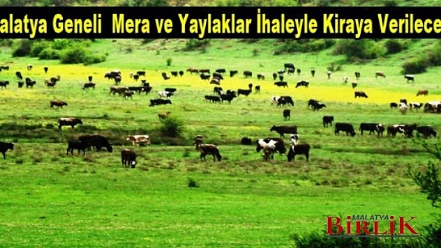 Malatya'da Mera ve Yaylaklar Kiraya Verilecek
