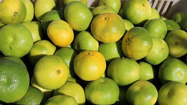 Mandalina ihracatından rekor haberi 2025 yılı bitmeden geldi