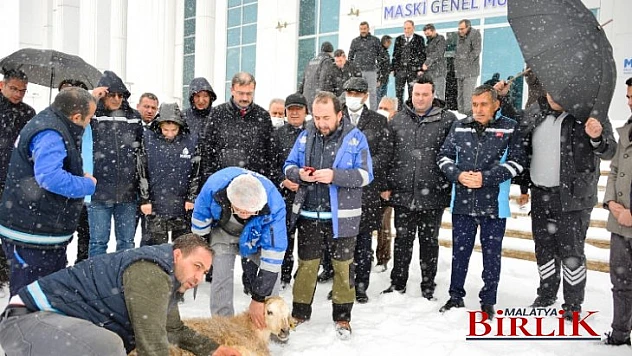 MASKİ, Şükür Kurbanı Kesti