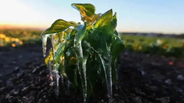 Meteorolojiden Soğuk Hava ve Zirai Don Uyarısı