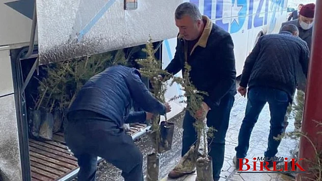 MHP İl Başkanlığı'ndan Devlet Bahçeli Hatıra Ormanı'na Fidan Desteği