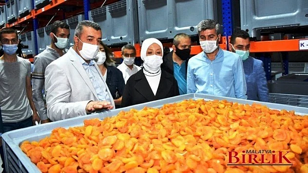 Milletvekili Çalık, Kayısının TMO Tarafından Alınması Üreticilerin Yüzünü Güldürdü