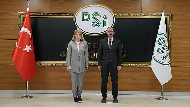 Milletvekili Ölmeztoprak, DSİ Genel Müdürü Mehmet Akif Balta İle Görüştü