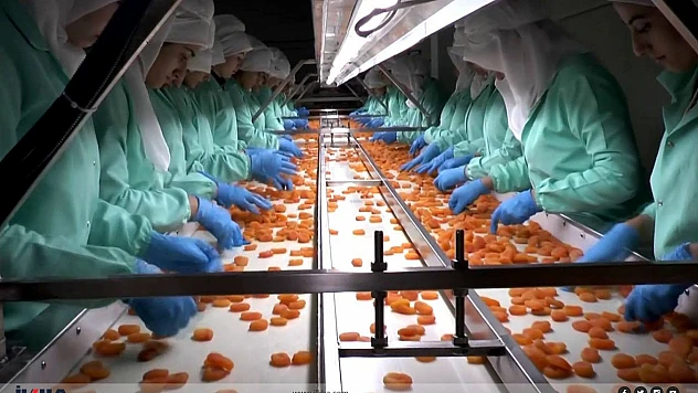 MTB Başkanı Özcan, 2024 Yılı Kayısı İhracat Rakamlarını Değerlendirdi