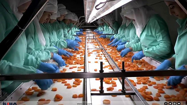 MTB Başkanı Özcan: Zirai Dona Rağmen İhracat Geliri 377 Milyon Doları Aştı