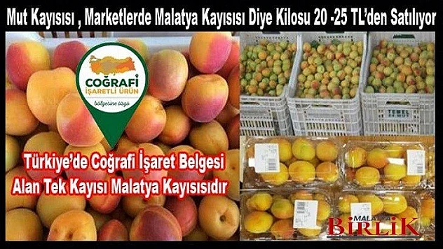 Mut Kayısısı, Marketlerde Malatya Kayısısı Diye Satılıyor