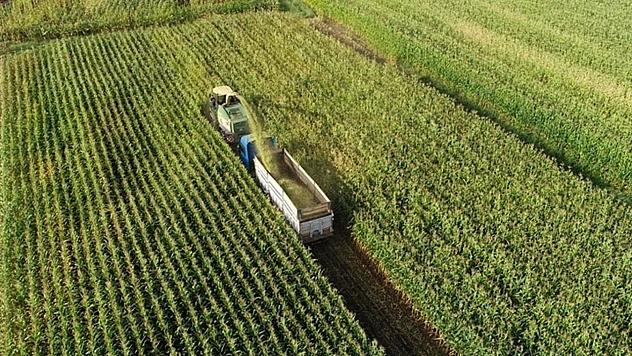 Organize Tarım Bölgeleri 2025'te 60 Bin Ton Üretim Yaptı