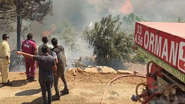 Orman Genel Müdürlüğü 4 Bin 500 Geçici İşçi Alacak