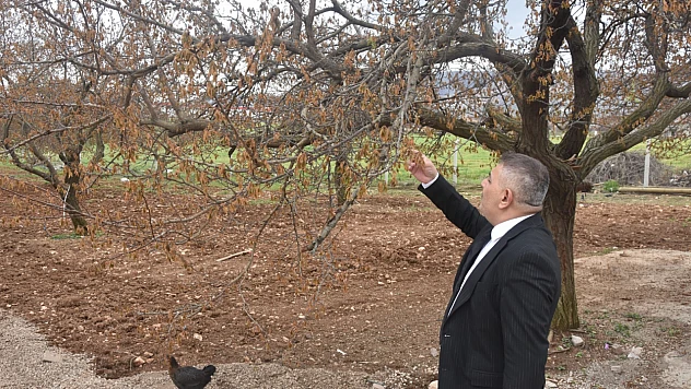 Sadıkoğlu: 'Verilecek Destekler Sadece Kayısıyı Değil, Şehrimizin Geleceğini İlgilendiriyor'