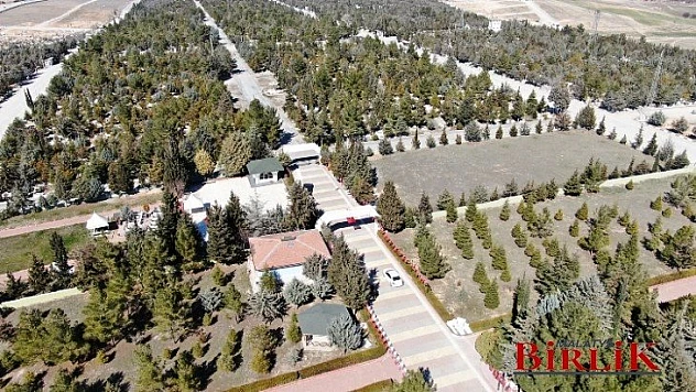 Şehir Mezarlığında Peyzaj Çalışması Yapılıyor