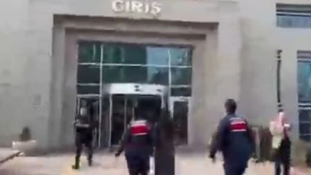 Soruşturma Sonuçlandı: Köpek Sahibi Tutuklandı, Pitbull Karantinaya Alındı