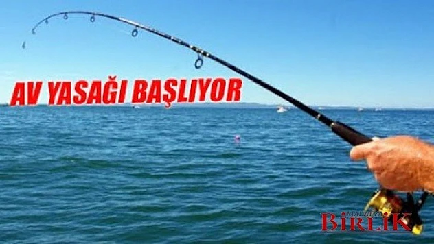 Su Ürünleri Av Yasağı Başlıyor