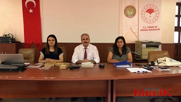 Sultansuyu Tarım İşletmesi Yeni Bir Rekora İmza Attı