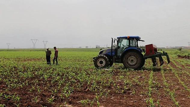 Tarım ve Orman Bakanlığı'ndan çiftçilere yeni destek paketi: 707 milyon TL