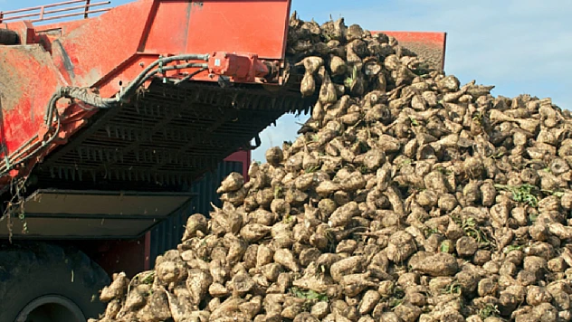 Tarım ve Orman Bakanlığı Şeker Pancarı Alım Fiyatını Güncelledi