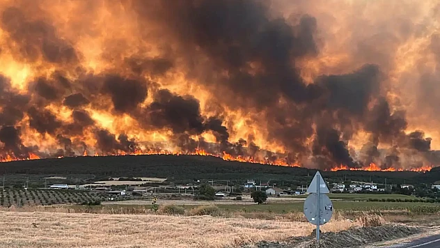 Tekirdağ'da Başlayan Orman Yangını Çanakkale'ye Sıçradı