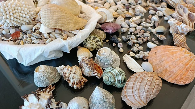 TEKNOFEST Yarışmalarına 96 Ülkeden 1 Milyondan Fazla Yarışmacı Katıldı