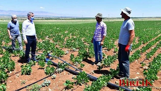 Toprağımız Bereketli, İnsanlarımız Çalışkan, Ürünlerimiz Doğal