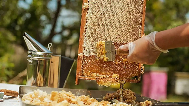 Türk Balı Dünya Pazarında Güvenilirliğini Kanıtladı