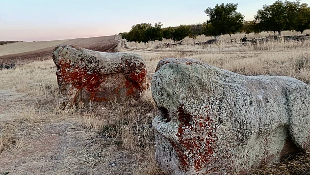 Üç bin yıl kendini koruyan aslan yine korur