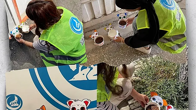 Ülkü Ocakları Malatya'dan Örnek Davranış: Sokak Hayvanlarına Destek Eli Uzandı