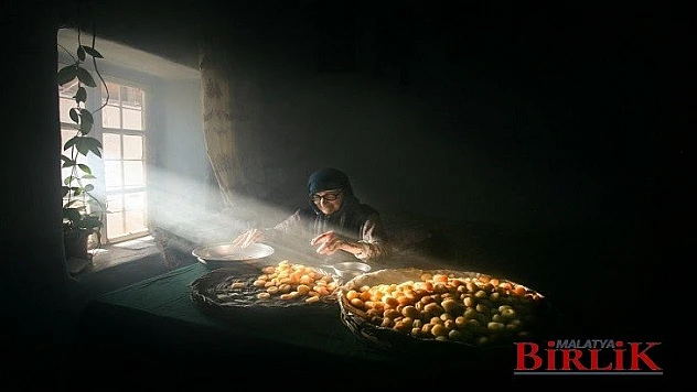 Ulusal Battalgazi Kayısı Hasadı Fotoğraf Yarışması Maratonu Sonuçlandı